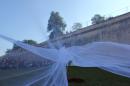 Et nunc 44 * 5184 x 3456 * (4.57MB)